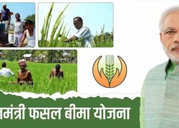 छत्तीसगढ़ के 141879 किसानों को 152.84 करोड़ रुपये का दावा भुगतान,11 अगस्त को प्रधानमंत्री फसल बीमा योजना के क्लेम का होगा पात्र बीमित किसानों के खाते में सीधे अंतरण