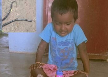 सांप के काटने से 2 वर्षीय बच्ची की मौत