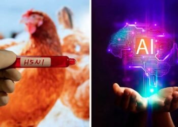 तेजी से बर्ड फ्लू और एच5एन1 मरीजों की होगी पहचान, रिसर्चर ने तैयार किया नया AI टूल