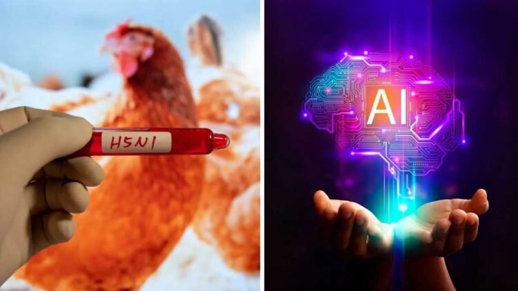 तेजी से बर्ड फ्लू और एच5एन1 मरीजों की होगी पहचान, रिसर्चर ने तैयार किया नया AI टूल