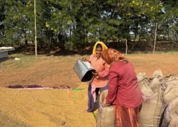 खरीफ उपार्जन शुरू होते ही धमतरी में लौटी रौनक