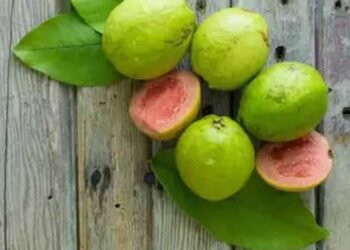रोजाना अमरूद खाने के जबरदस्त फायदे