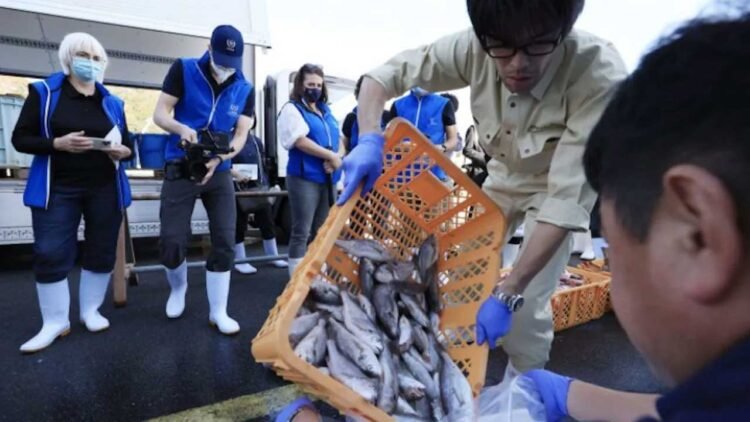 चीन ने जापान को दिया बड़ा झटका…तो भारत की लगी लाॅटरी, ट्रंप टैरिफ की भी टेंशन खत्म