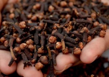 घर से निकलते समय इस गरम मसाले का एक दाना रख लें मुख में, सारी अड़चनें हो जाएंगी दूर, सफल होगा काम