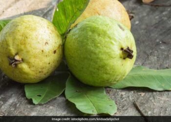 क्यों अमरूद को कहा जाता है आयुर्वेद का अमृतफल? जानें फायदे