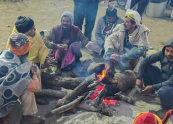 यूपी-बिहार में कोहरे और पंजाब-हरियाणा में शीतलहर का अलर्ट, जानें मौसम का पूरा हाल