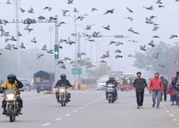 दिल्ली-एनसीआर में शीतलहर का कहर, न्यूनतम तापमान 4 डिग्री तक गिरने की आशंका