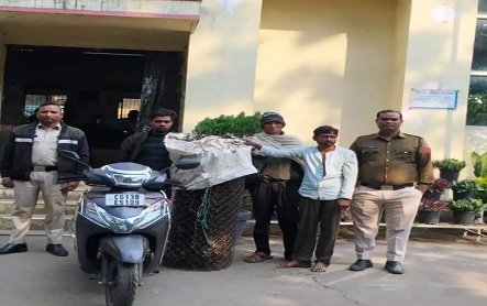 रायगढ़ में वन विभाग की फेंसिंग तार चोरी, तीन आरोपी गिरफ्तार