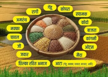 भारत ने अपने कृषि और डेयरी सेक्टर पर लगाया ‘सुरक्षा कवच’, अमेरिका को नहीं दी ढील