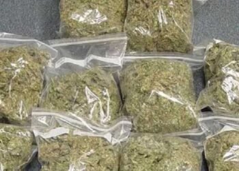 मादक पदार्थों की तस्करी के खिलाफ एक बड़ी सफलता : जब्त किया 18 लाख का माल, 2 अंतर्राज्यीय महिला तस्कर गिरफ्तार