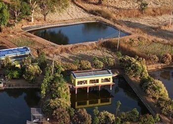 तालाब के ऊपर मुर्गी पालन कर खेती को और अधिक लाभकारी बनाया