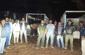 अवैध सागौन के साथ दो पिकअप जब्त