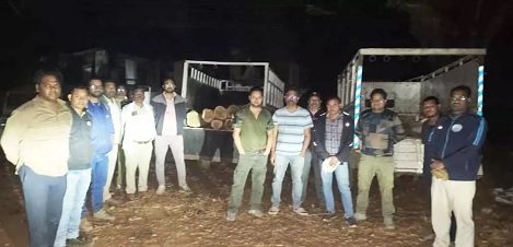 अवैध सागौन के साथ दो पिकअप जब्त