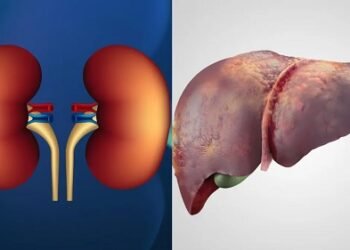 आंवला और मिश्री का कॉम्बिनेशन है कमाल का