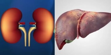 आंवला और मिश्री का कॉम्बिनेशन है कमाल का