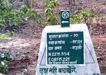 वनों की सुरक्षा को मिला नया कवच- 227 मुनारों का निर्माण पूर्ण