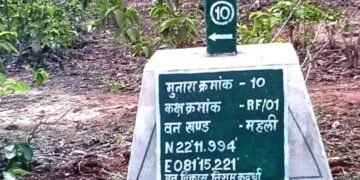 वनों की सुरक्षा को मिला नया कवच- 227 मुनारों का निर्माण पूर्ण