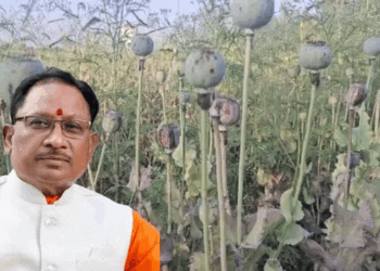 अफीम की अवैध खेती पर मुख्यमंत्री श्री विष्णु देव साय का कड़ा रुख