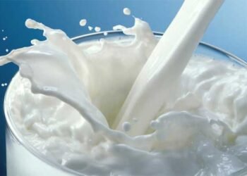 आंध्र प्रदेश के पूर्वी गोदावरी ज़िले में कथित तौर पर मिलावटी दूध पीने से 13 लोगों की मौत