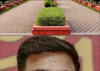 लंबी हिरासत पर हाईकोर्ट की टिप्पणी, अनिल टुटेजा को जमानत