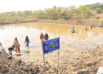 अंतर्राष्ट्रीय महिला दिवस पर विशेष लेख : अंतर्राष्ट्रीय महिला दिवस: स्व-सहायता समूहों के माध्यम से आत्मनिर्भर बन रहीं धमतरी जिले की महिलाएं