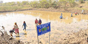 अंतर्राष्ट्रीय महिला दिवस पर विशेष लेख : अंतर्राष्ट्रीय महिला दिवस: स्व-सहायता समूहों के माध्यम से आत्मनिर्भर बन रहीं धमतरी जिले की महिलाएं