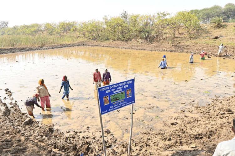 अंतर्राष्ट्रीय महिला दिवस पर विशेष लेख : अंतर्राष्ट्रीय महिला दिवस: स्व-सहायता समूहों के माध्यम से आत्मनिर्भर बन रहीं धमतरी जिले की महिलाएं