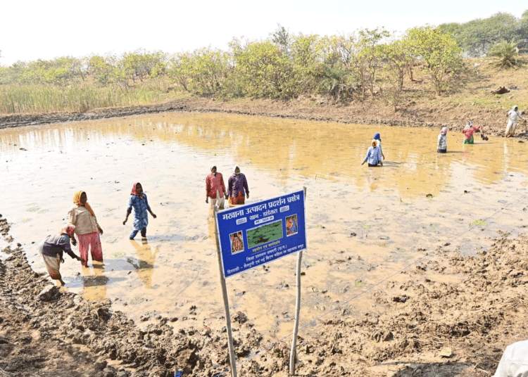 अंतर्राष्ट्रीय महिला दिवस पर विशेष लेख : अंतर्राष्ट्रीय महिला दिवस: स्व-सहायता समूहों के माध्यम से आत्मनिर्भर बन रहीं धमतरी जिले की महिलाएं