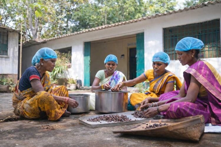 वन धन विकास केंद्र पंचक्की : स्व-सहायता समूहों को 23 लाख से अधिक की वार्षिक आय