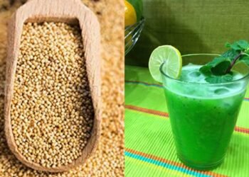 एनर्जी का पावरहाउस! थकान और कमजोरी को जड़ से मिटा देगा खसखस, गर्मियों में ऐसे करें इस्तेमाल