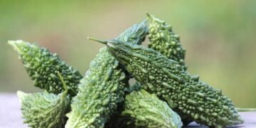 वजन घटाने से लेकर खून साफ करने तक, जानें गर्मी के मौसम में करेला खाने के ये 5 चौंकाने वाले फायदे