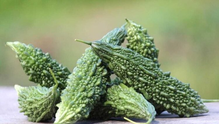 वजन घटाने से लेकर खून साफ करने तक, जानें गर्मी के मौसम में करेला खाने के ये 5 चौंकाने वाले फायदे