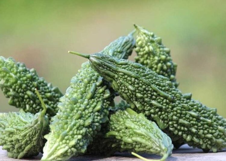 वजन घटाने से लेकर खून साफ करने तक, जानें गर्मी के मौसम में करेला खाने के ये 5 चौंकाने वाले फायदे