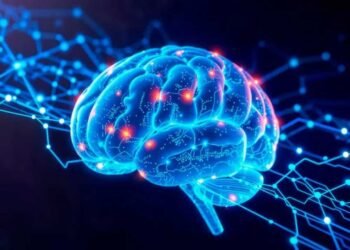 तनाव के बीच भी दिमाग रहेगा कूल, बस अपनी डाइट में शामिल करें ये विटामिन्स और मिनरल्स