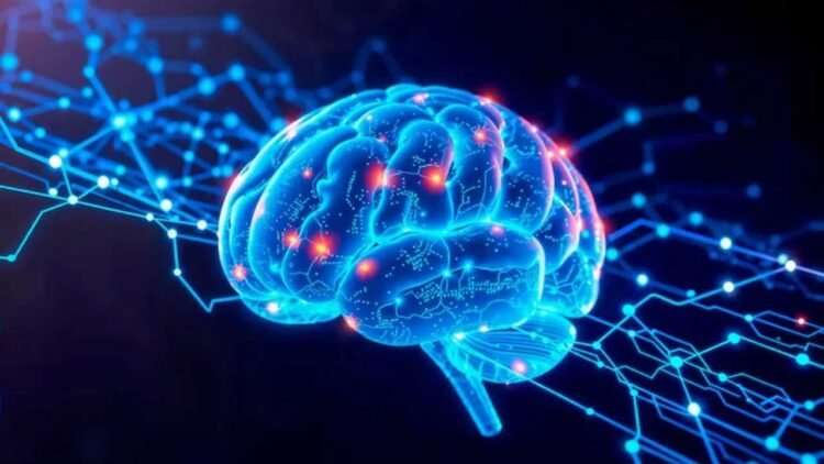 तनाव के बीच भी दिमाग रहेगा कूल, बस अपनी डाइट में शामिल करें ये विटामिन्स और मिनरल्स