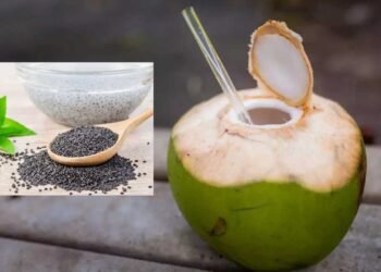 नारियल पानी में मिलाकर पिएं ये बीज, 10 मिनट में शरीर की गर्मी होगी गायब; फायदे जानकर रह जाएंगे दंग!