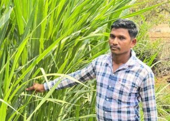 मजदूरी की बेड़ियां तोड़ ‘मल्टी-फार्मिंग’ के नायक बने ललित यादव