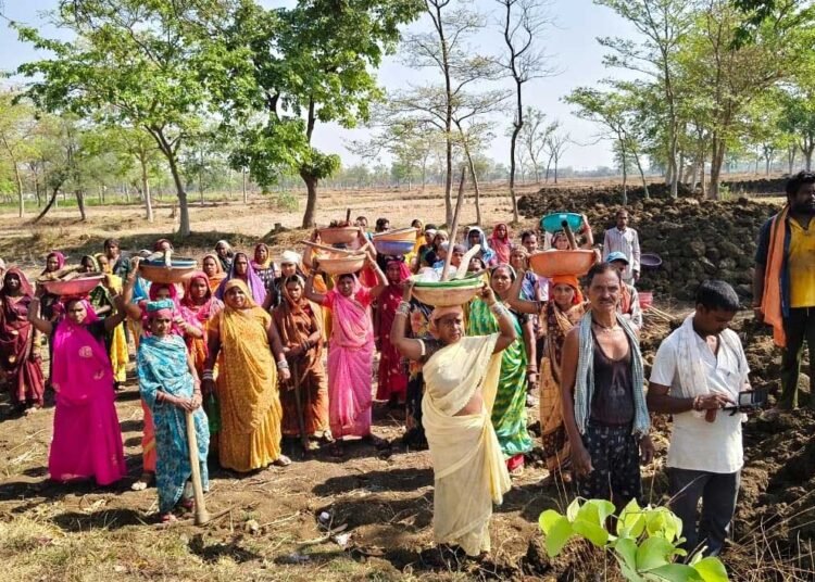  नवा तरिया से सशक्त होगा गांव, जल संरक्षण के साथ ग्रामीणों को मिल रहा रोजगार