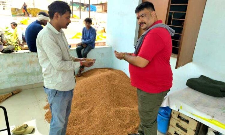 सोमनी सोसाइटी में चने, अरहर और सरसों की खरीदी सुचारु रूप से जारी किसानों मे खुशी की लहर बी. के. शर्मा का किया आभार व्यक्त