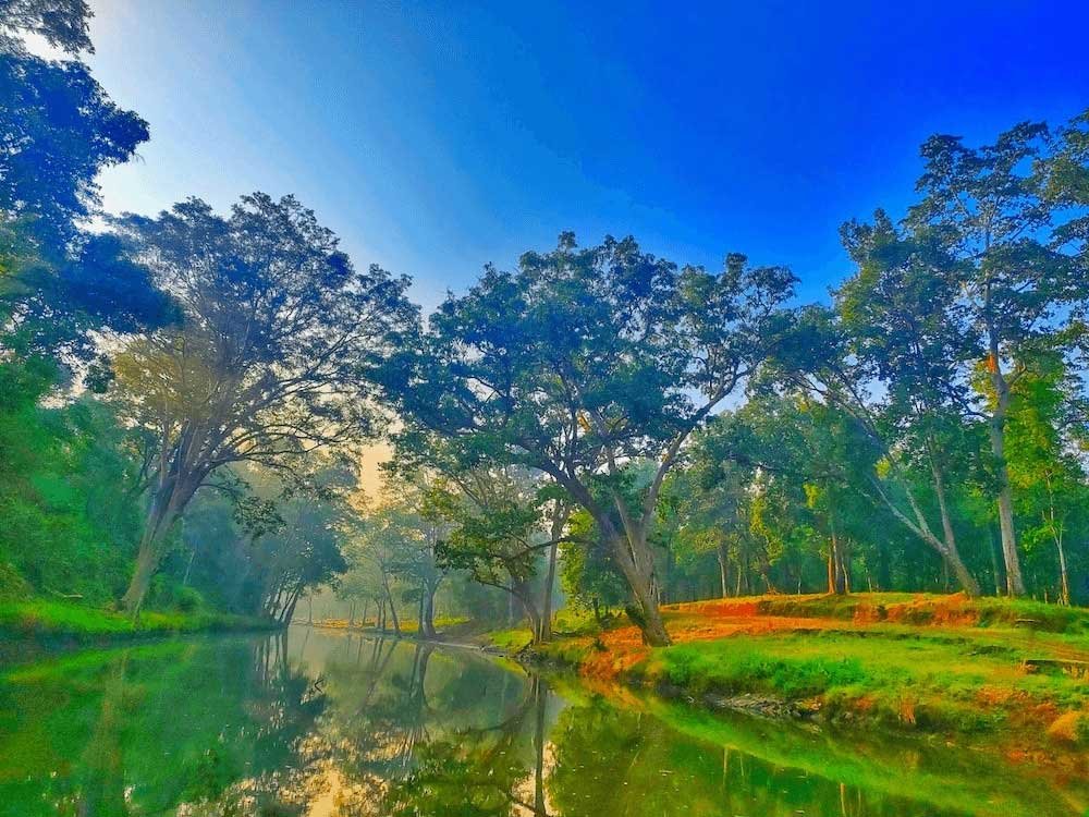 विश्व पर्यावरण दिवस 2026 : हरित विकास, जल संरक्षण और जनभागीदारी से पर्यावरणीय समृद्धि की ओर बढ़ता छत्तीसगढ़