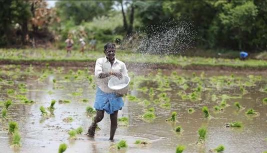 मुख्यमंत्री की विशेष पहल पर प्रदेश में पर्याप्त रासायनिक खाद उपलब्ध