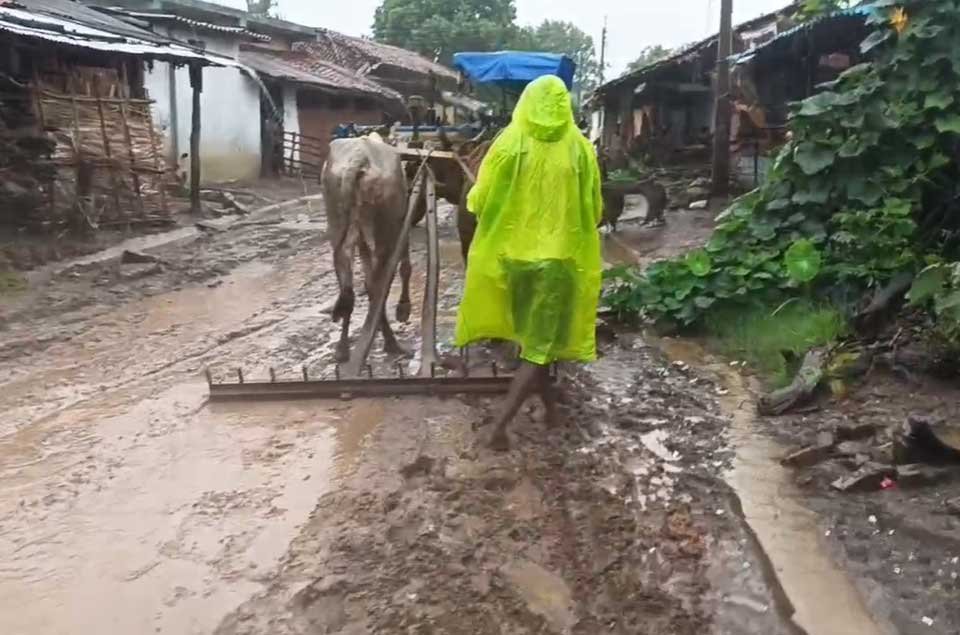 एक साल से शुरू नहीं हुआ सड़क निर्माण, भैसबोड़ के ग्रामीणों ने धान रोपकर जताया विरोध