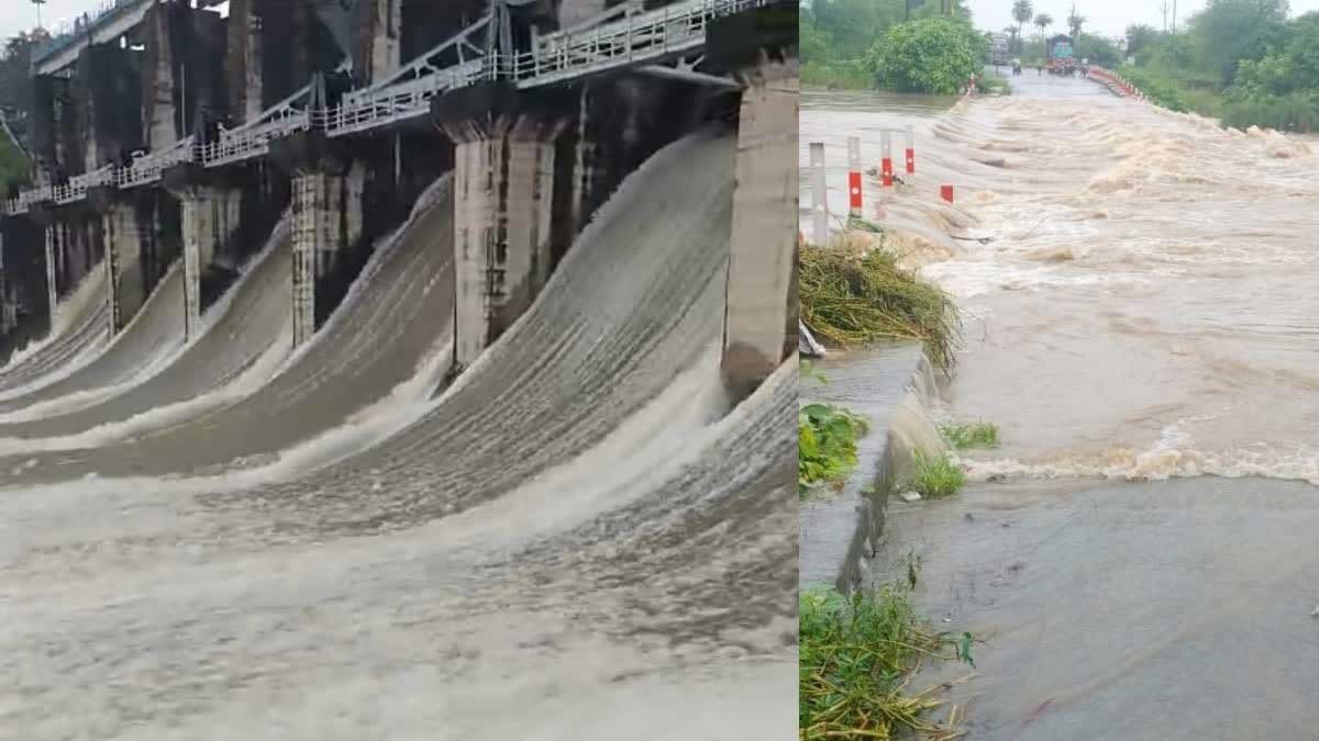 लगातार बारिश से बढ़ा जलस्तर, कोयना बांध के गेट खुले; प्रशासन ने जारी की चेतावनी