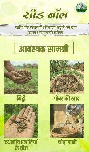  सीड बॉल अभियान- हरियाली बढ़ाने का सरल और प्रभावी माध्यम