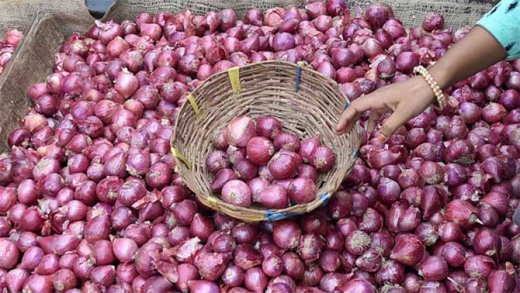 प्याज के बढ़ते दाम पर सरकार का एक्शन, 35 रुपये किलो में बेचने की तैयारी