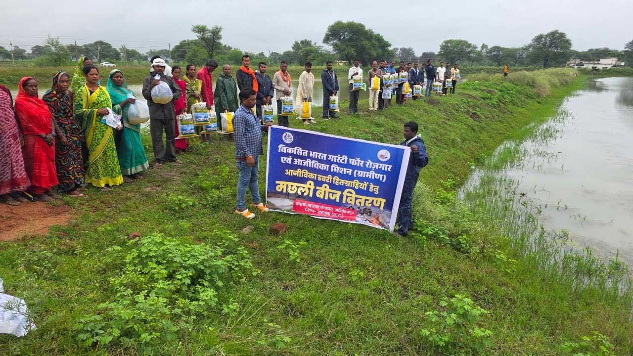 आजीविका डबरियों और नवा तरिया में मत्स्य पालन से बढ़ेंगे ग्रामीण आय के अवसर