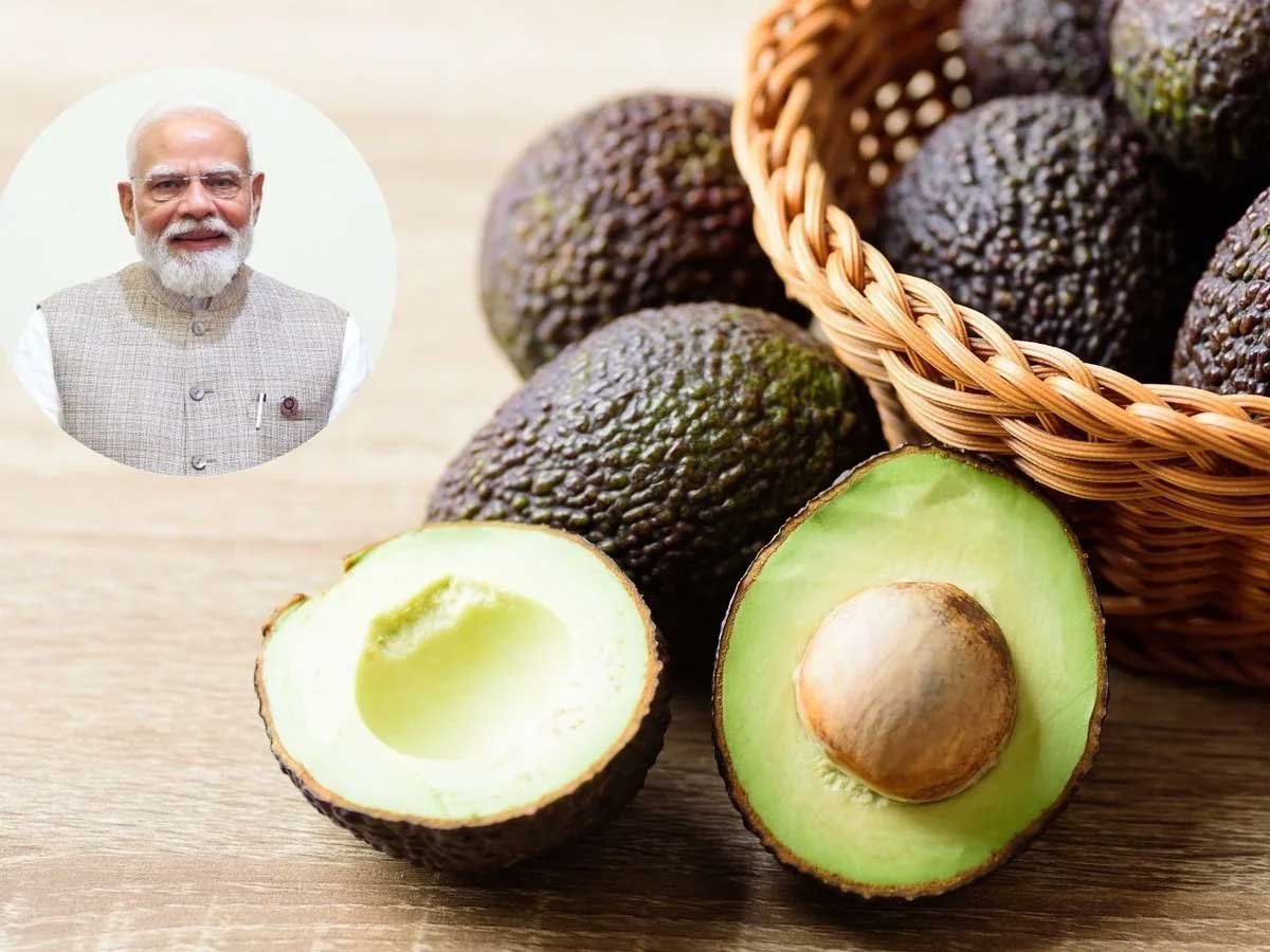 एवोकाडो के बढ़े दाम ने बिगाड़ा बजट? ये 7 देसी चीजें डाइट में करें शामिल