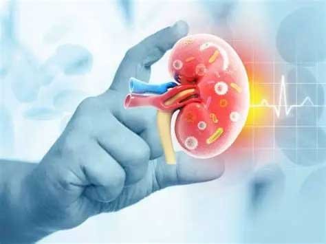 Kidney Disease के 5 शुरुआती संकेत, समय रहते पहचानना है बेहद जरूरी
